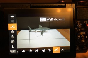 Manueller Weißabgleich unter Wasser