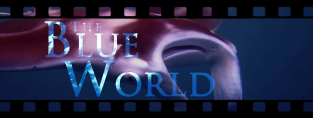 The Blue World – Embudu