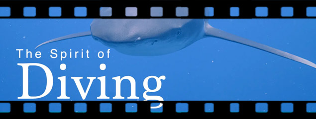 Neuer Kurzfilm: The Spirit of Diving