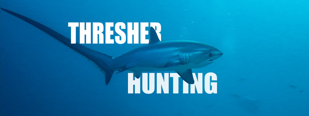 Film: Thresher Hunting – Treasure Hunting