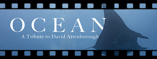 Ocean – A Tribute to David Attenborough Ocean – A Tribute to David Attenborough